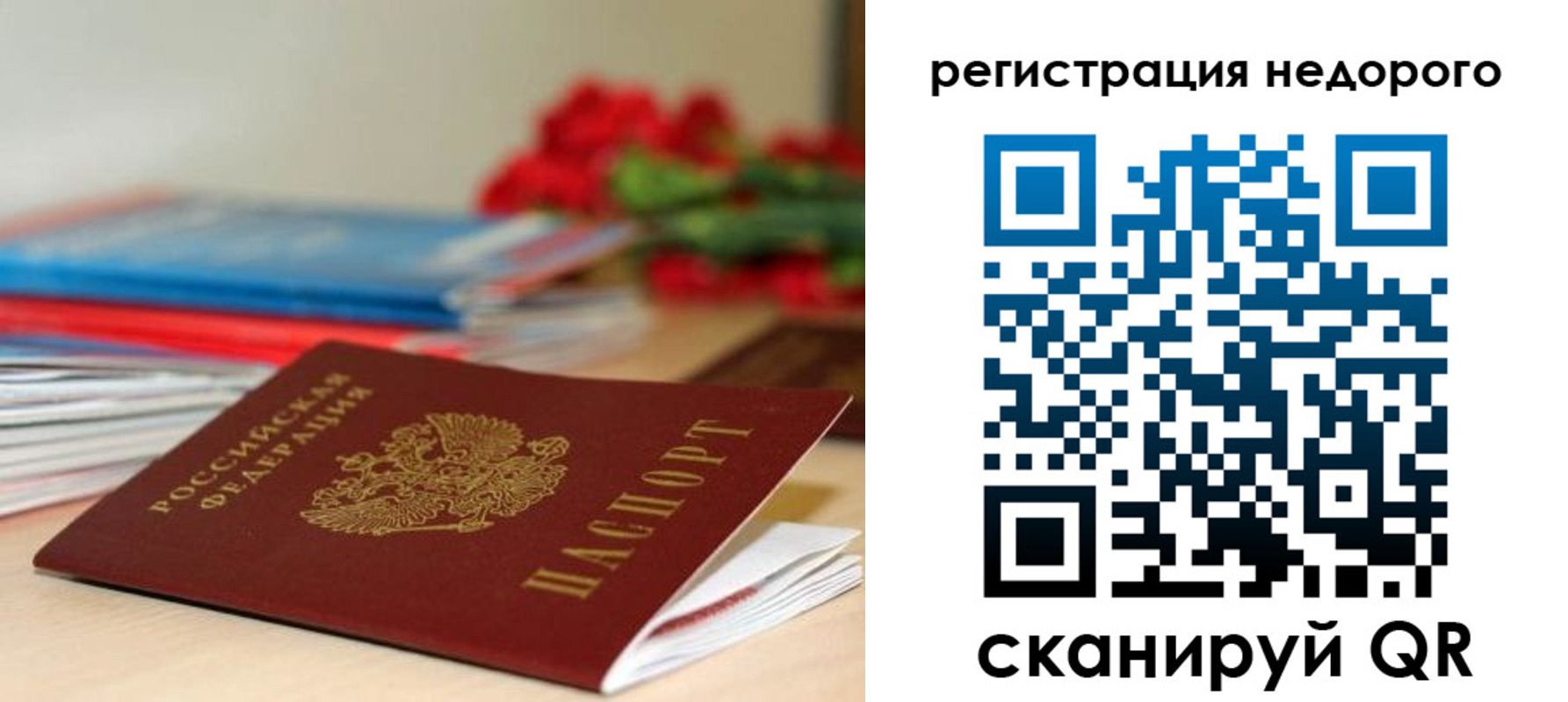 временная регистрация гарантия в Щучье